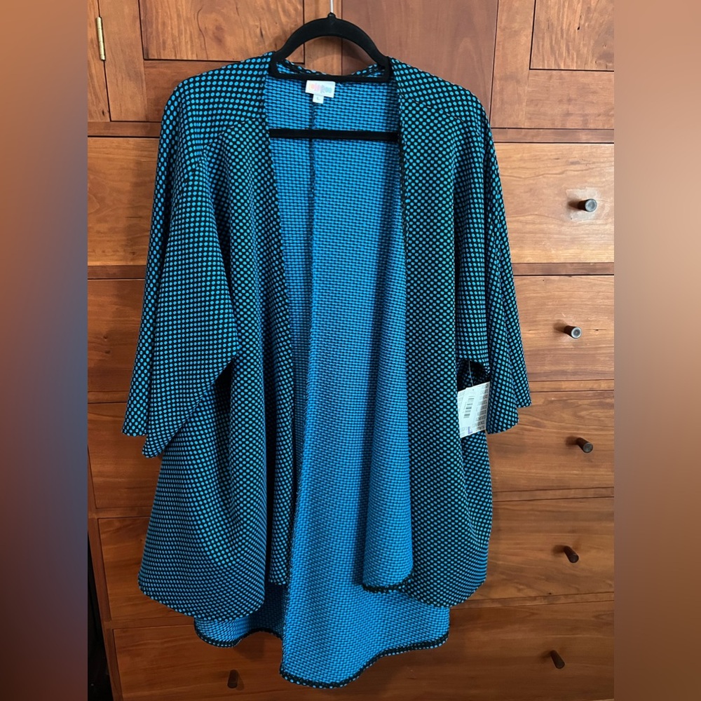 LulaRoe Lindsay Size Large